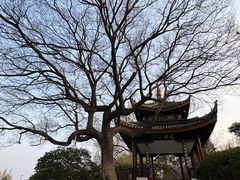 -南通濠河风景名胜区