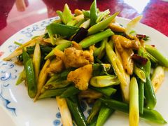 凉拌假鲍鱼-老苏扬饭店