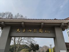 -太子山公园(园东路)