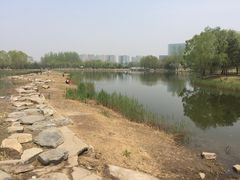 -大兴滨河森林公园