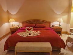 -南京维景国际大酒店(南京博物院店)