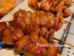 炭火烤串拼盘5种-北村家日本料理(西大望路店)