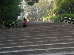 -上海佘山国家森林公园西佘山园