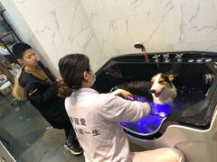 -宠爱国际动物医院·消化内科·心肾内科·ISFM猫友好(望京店)