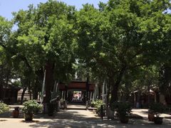 -保定直隶总督署博物馆