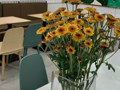 -芋贵圆(日照万达店)