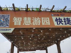 -厦门方特梦幻王国