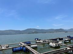 -罗源湾8号渔排