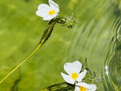 -丽江泸沽湖景区