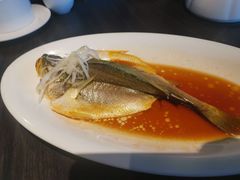 清蒸东海大黄鱼-鹊玥·粤菜小馆(汇智国际商业中心店)