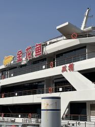 -Doris一站式游轮婚礼船东直营店(外滩店)