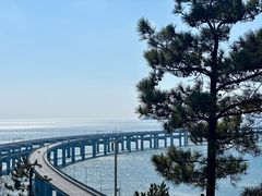 -星海湾跨海大桥