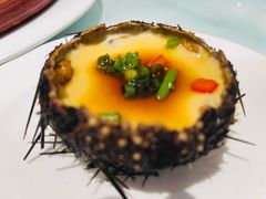 芙蓉蒸海胆-映像威海·海鲜味道(经区店)