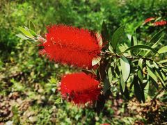 -桤木河湿地公园