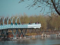 -大兴滨河森林公园