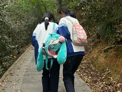 -上海佘山国家森林公园西佘山园