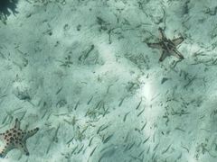 -卡帕莱度假村(西巴丹岛)