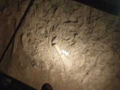 -世界恐龙谷景区