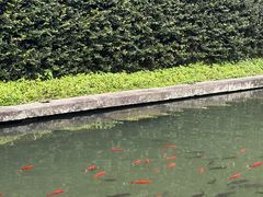 -宁波市保国寺古建筑博物馆