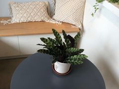 -LAB COFFEE来杯咖啡(浦仓路店)