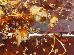 -重庆何乌鱼(南湖逸家店)