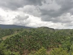 -七仙岭温泉国家森林公园