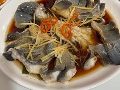 清蒸稀鳞鲑-煲来饱去冷水鱼