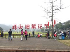 -红山村