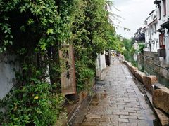 -苏妃奶酪(平江路店)