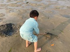 -北海金海湾红树林生态旅游区