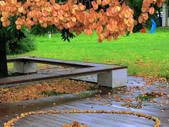 -春花秋色城市公园