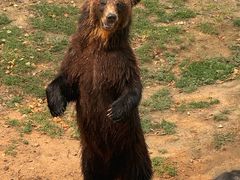 -石家庄市动物园