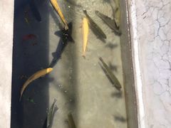 -何适山庄 ·可团建(水长城P2停车场店)