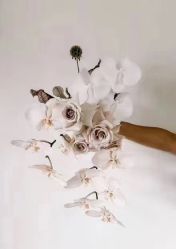 -索菲亚摄影会所