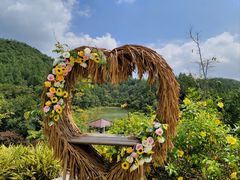 -广州白江湖森林公园