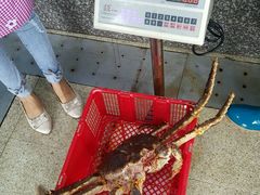 -蚝专家(北滘店)