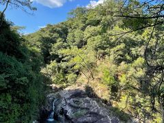 -广州白江湖森林公园