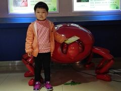 -上海昆虫博物馆