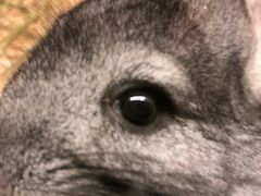 -龙猫仔乐园(惠福东路店)