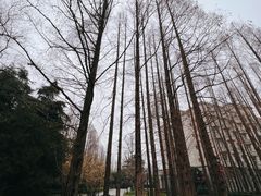 -上海虹桥迎宾馆