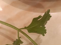 -九牧鱻·渝老鬼重庆火锅(人民路店)