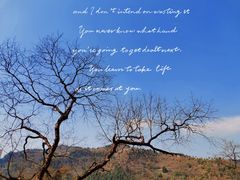 -丰都鬼城名山景区