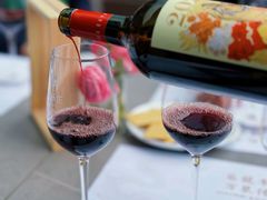 -识酒猫 x SNAP(国贸商城店)