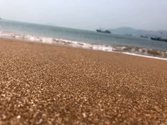 -枸杞岛
