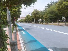 -台场海滨公园船码头