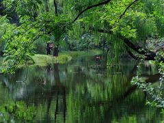 -上海共青森林公园