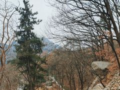 -沂蒙山旅游区云蒙景区(蒙山国家森林公园)