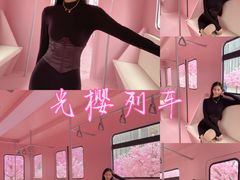 -金茂览秀城