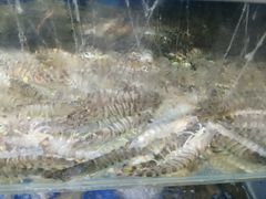 -雅逸居海鲜小厨