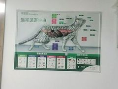 -宠颐生宠物医院外科·内科·皮肤科·影像科(石龙店)